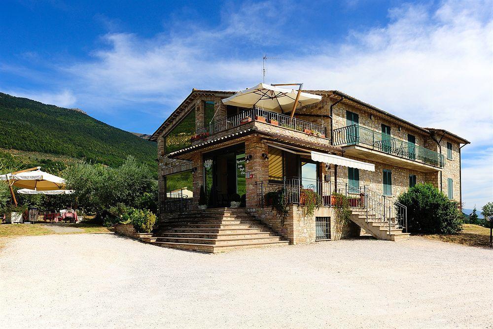 Colle Degli Olivi Snc ξενώνας Ασίζη Εξωτερικό φωτογραφία