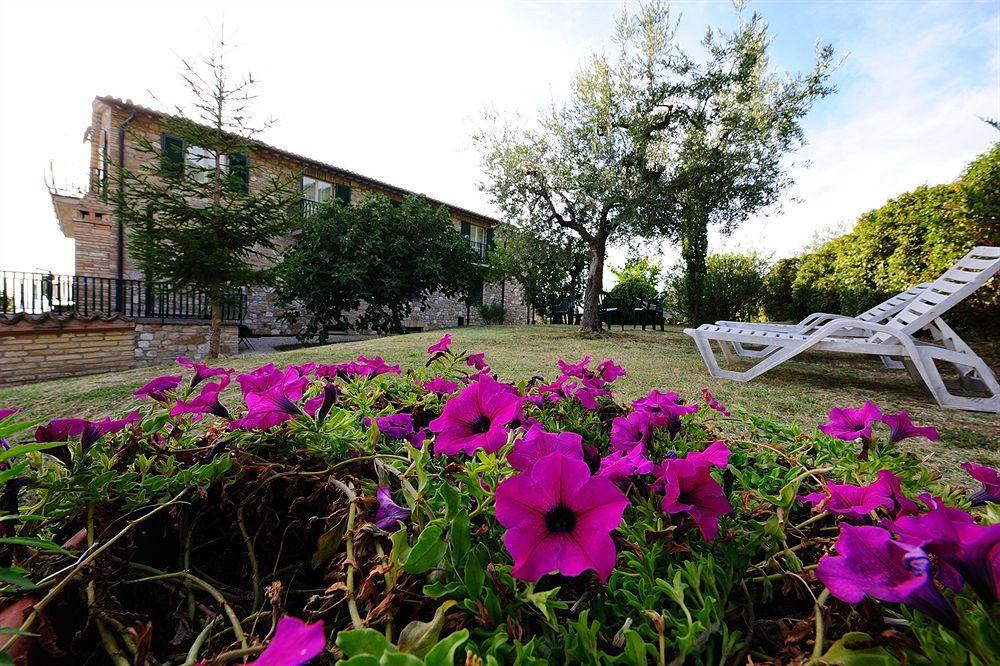 Colle Degli Olivi Snc ξενώνας Ασίζη Εξωτερικό φωτογραφία