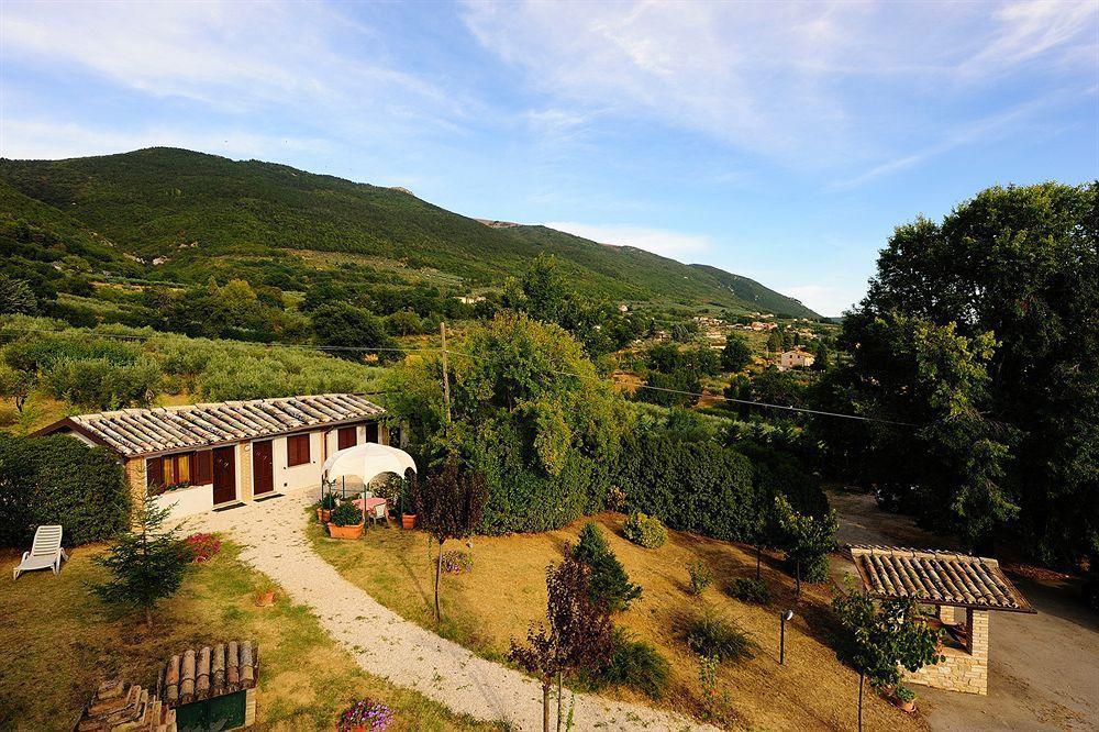 Colle Degli Olivi Snc ξενώνας Ασίζη Εξωτερικό φωτογραφία