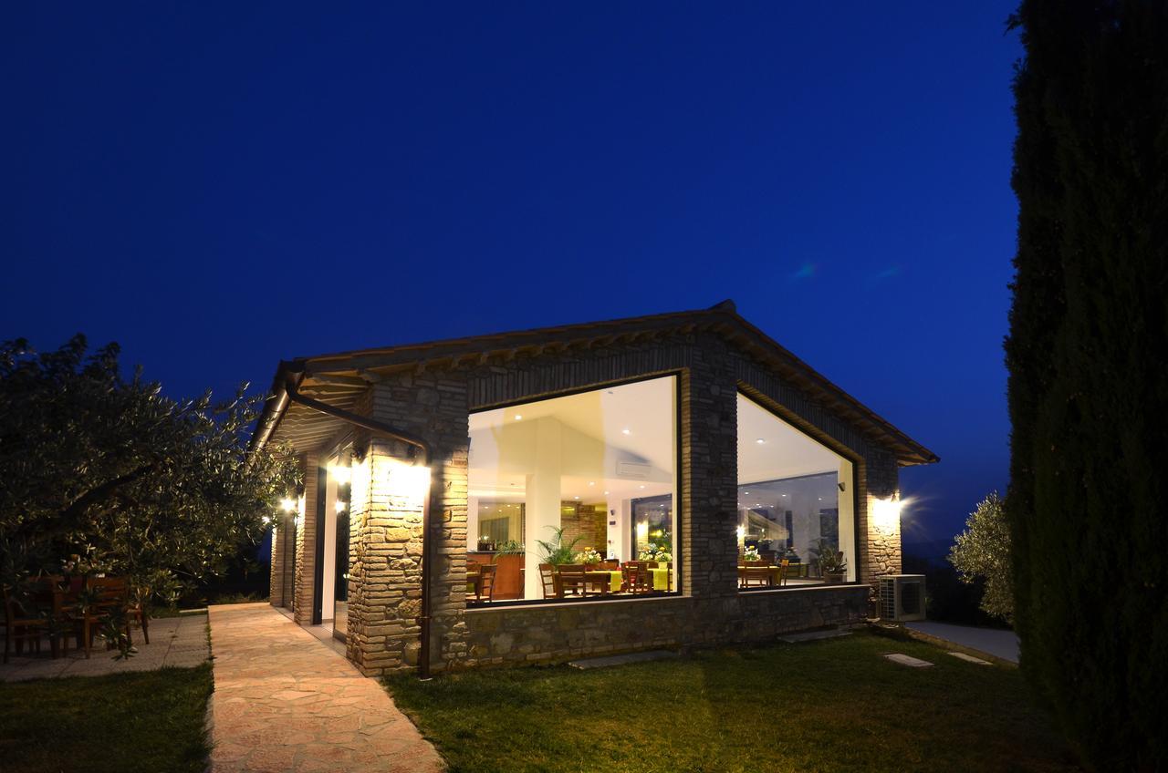 Colle Degli Olivi Snc ξενώνας Ασίζη Εξωτερικό φωτογραφία